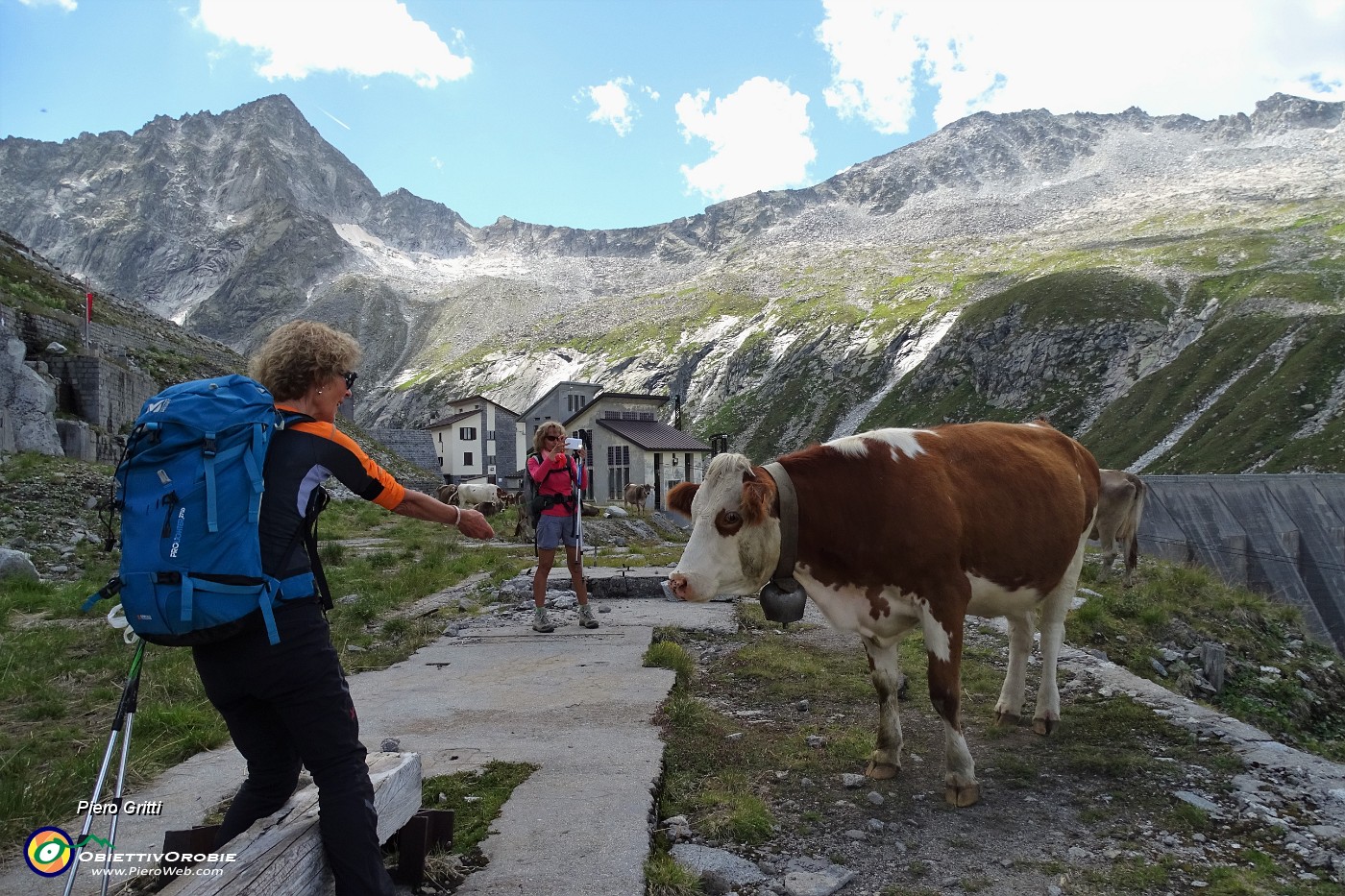 33 Belle mucche d'alta quota al Lago Pantano.JPG